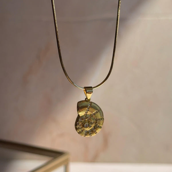 Collar Caracola Circones