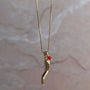 Collar Ají Cornicello con Cristal Rojo