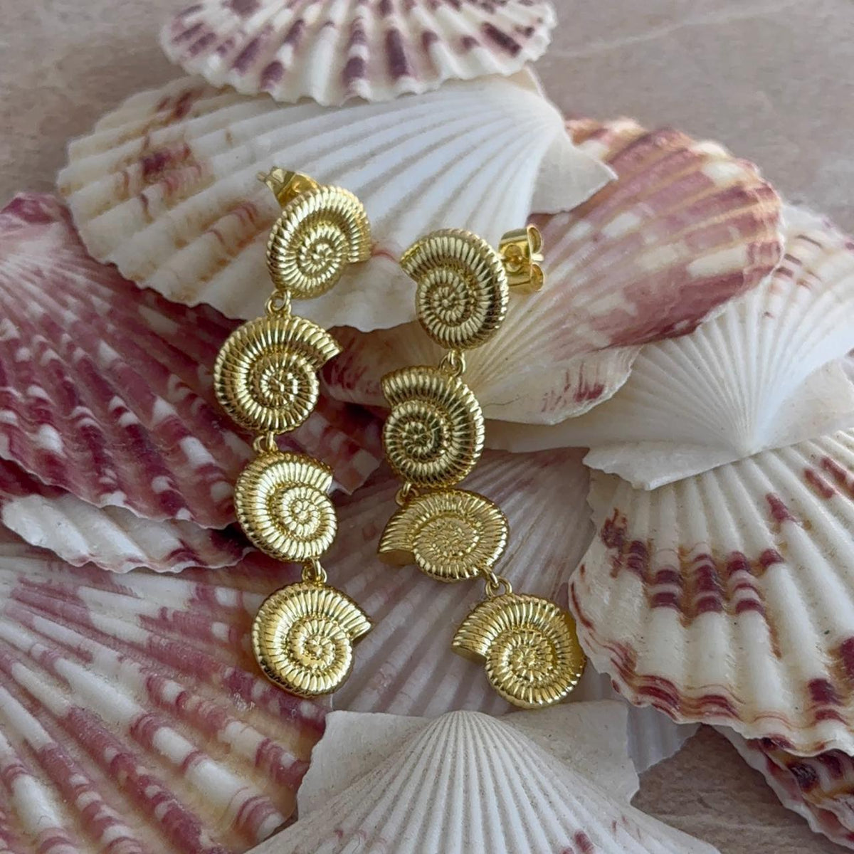 Aros Cuatro Caracolitas de Mar