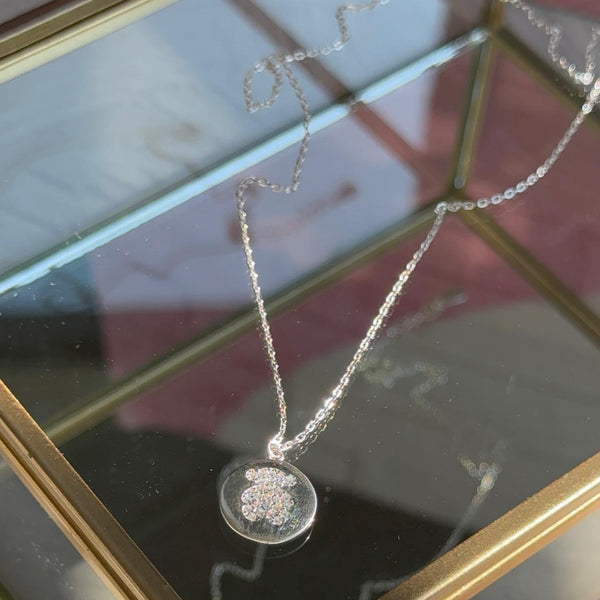 Collar Medalla Osito Circones