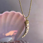 Collar Cachito Circones de Colores