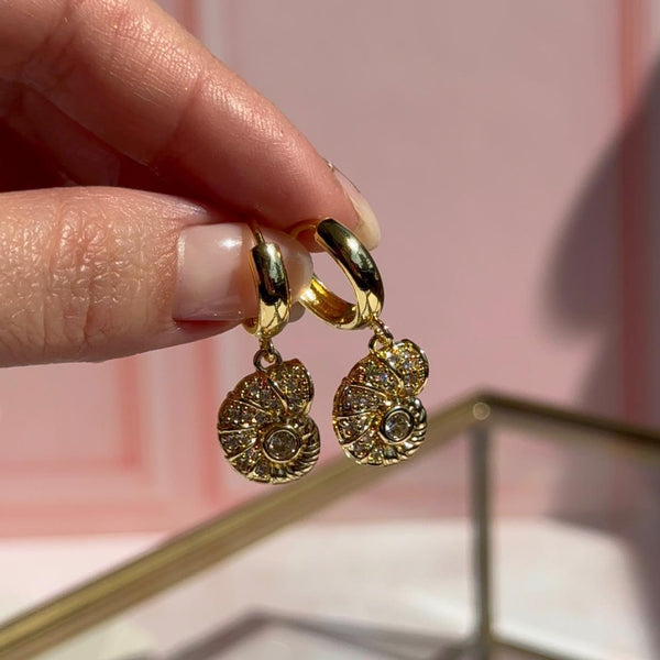 Aros Argolla Caracola Circones