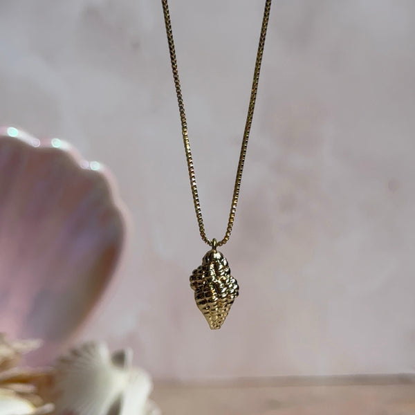 Collar Caracola II