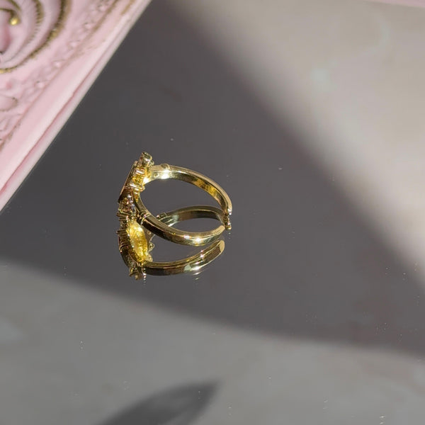 Anillo San Benito Circones