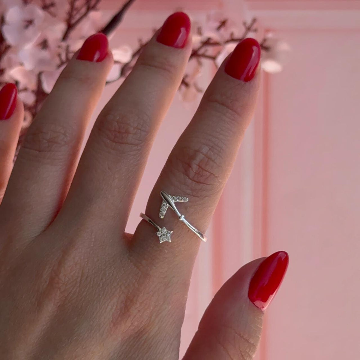 Anillo Avión y Estrella Circones