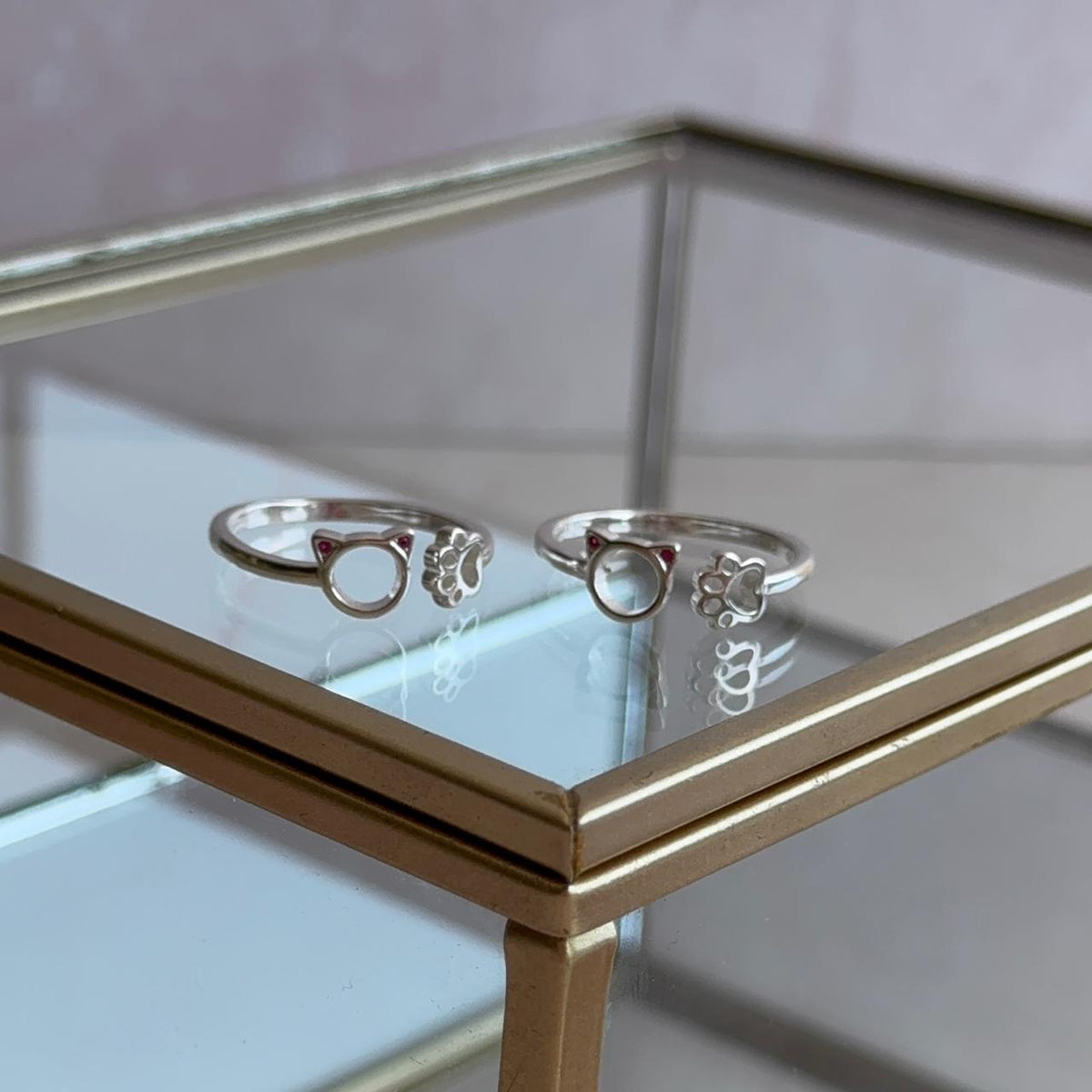 Anillo Gatín