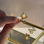 Anillo Sol y Punto de Luz