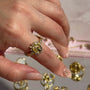 Anillo San Benito Circones