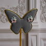 Aros Niña Circones Multicolor