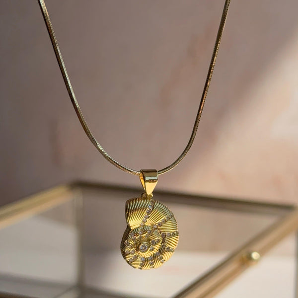 Collar Caracola Circones