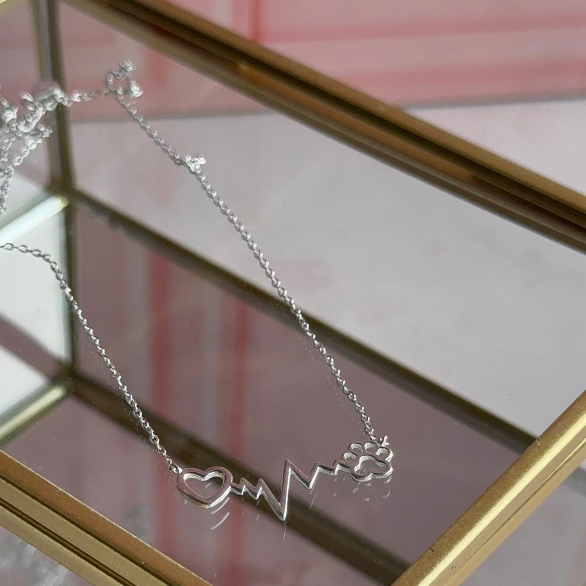 Collar Patita de Perro y Corazón