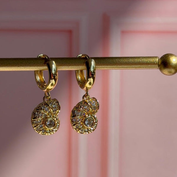 Aros Argolla Caracola Circones